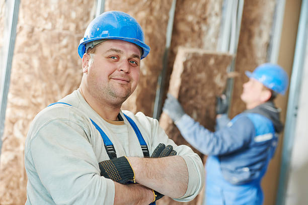 Best Types of Insulation in Janesville, IA