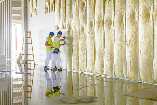 Best Insulation Maintenance and Repair in Janesville, IA